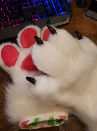 fursuit