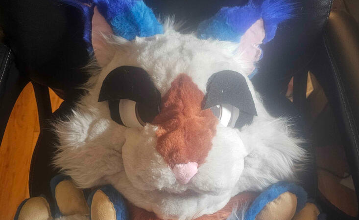 fursuit