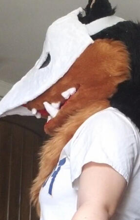 fursuit
